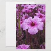 Mooie Bloemen Briefpapier (Voorkant / Achterkant)