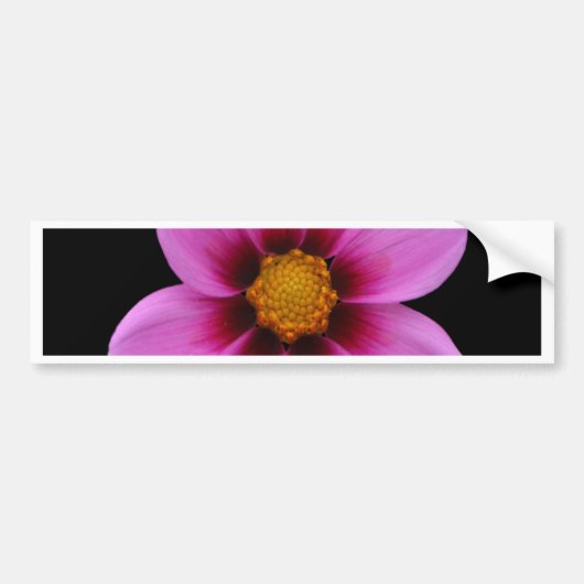 Mooie bloemen bumpersticker (Voorkant)