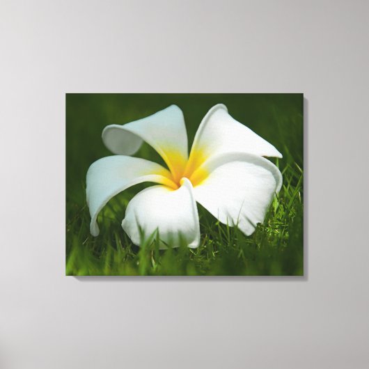 Mooie Bloemen Close-Up - Ingewikkeld Canvas Afdruk (Voorkant)