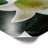 Mooie Bloemen Foto Afdruk (Hoek)