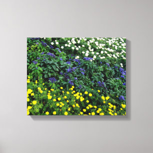 Mooie Bloemen Foto Enkele Canvas Afdruk