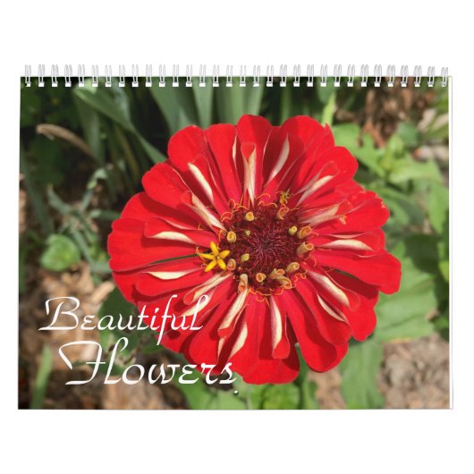 Mooie bloemen fotografie kalender (Hoes)