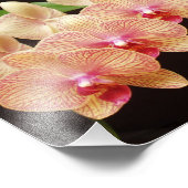 Mooie bloemen foto's afdrukken foto afdruk (Hoek)