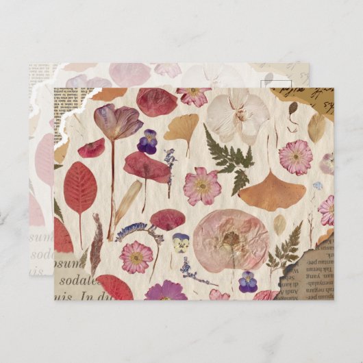 Mooie bloemen geperst briefkaart (Voorkant / Achterkant)