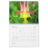Mooie bloemen, het hele jaar lang kalender (Feb 2027)