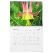 Mooie bloemen, het hele jaar lang kalender (Feb 2026)