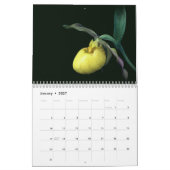 Mooie Bloemen Kalender (Jan 2027)
