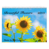 Mooie bloemen kalender 2013 (Hoes)