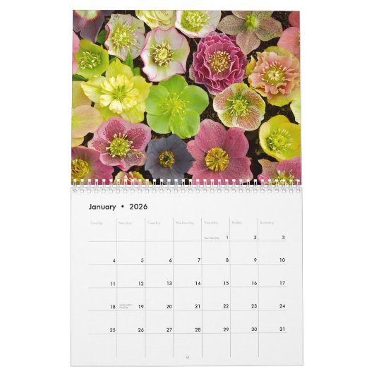 Mooie bloemen kalender 2013 (Jan 2026)