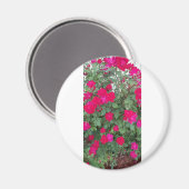 Mooie bloemen magneet (Voorkant / Achterkant)