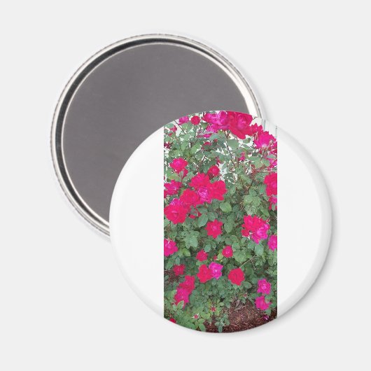 Mooie bloemen magneet (Voorkant / Achterkant)