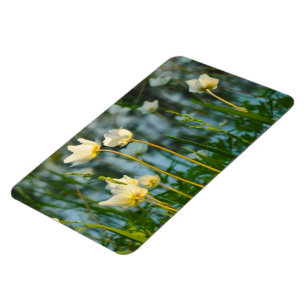 MOOIE BLOEMEN MAGNEET