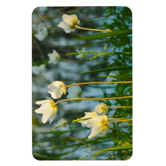 MOOIE BLOEMEN MAGNEET (Verticaal)