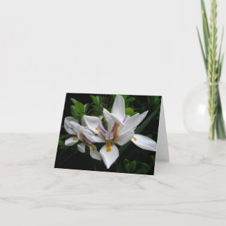Mooie bloemen notecard kaart
