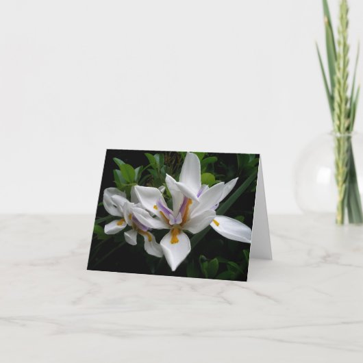 Mooie bloemen notecard kaart (Voorkant)