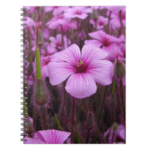 Mooie Bloemen Notitieboek