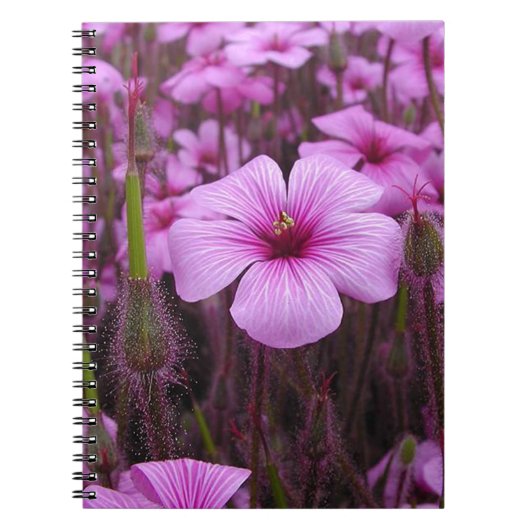 Mooie Bloemen Notitieboek (Voorkant)