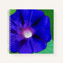Mooie bloemen