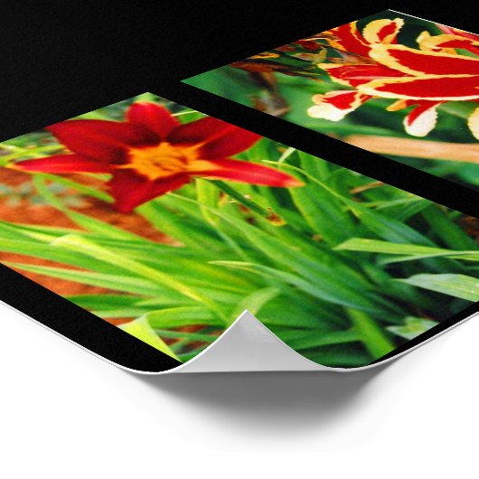 Mooie bloemen poster (Hoek)