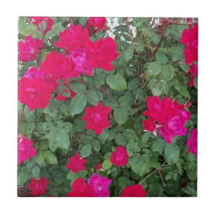 Mooie bloemen tegeltje