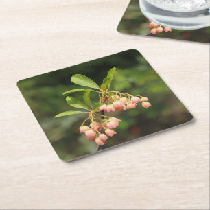 Mooie bloemen van Enkianthus Kartonnen Onderzetters