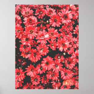 mooie bloemen van rode kleur, bloempatroon, zijn: poster