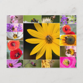 Mooie bloemen voor gevoelens in de lente en de zom briefkaart