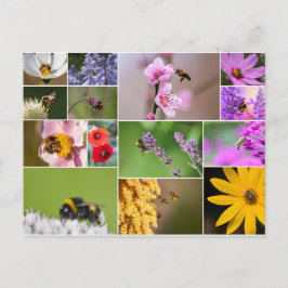 Mooie bloemen voor gevoelens in de lente en de zom briefkaart