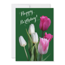 Mooie bloemen witte roze tulpen gelukkige verjaard