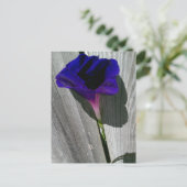 Mooie bloemenaansichtkaart briefkaart (Staand voorkant)