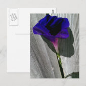 Mooie bloemenaansichtkaart briefkaart (Voorkant / Achterkant)