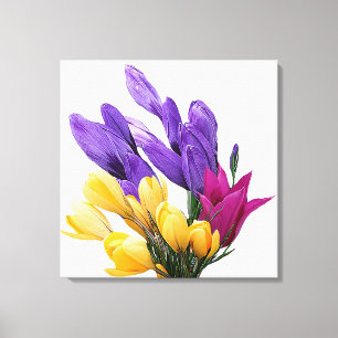 Mooie bloemige kleurrijke krokustulp canvas afdruk