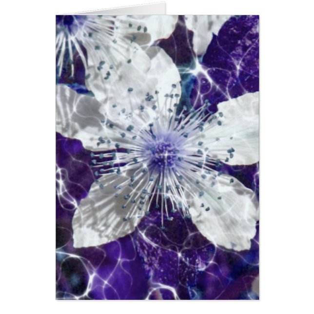 Mooie bloesem (Voorkant)