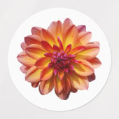 Mooie bloesem labels (Design 2)