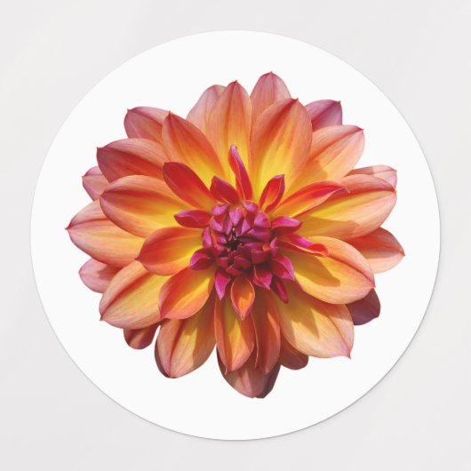 Mooie bloesem labels (Design 2)