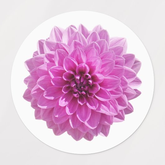 Mooie bloesem labels (Design 1)