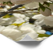 Mooie bloesem poster (Hoek)