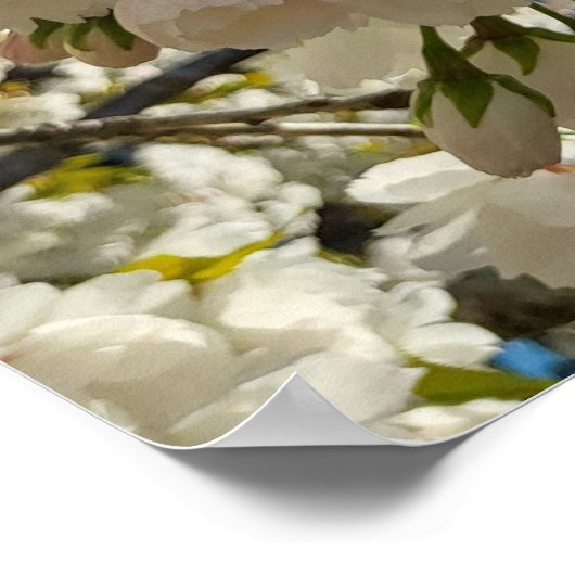 Mooie bloesem poster (Hoek)