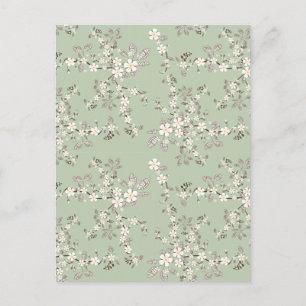 Mooie  bloesem witte bloemen briefkaart