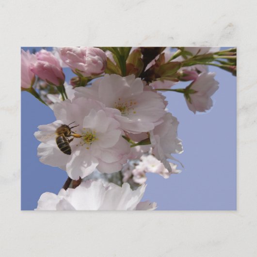 Mooie Bloesems met Bee DIY Briefkaart (Voorkant)