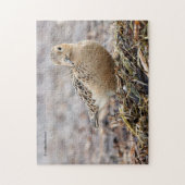Mooie Blonde Ruiter op het Strand Legpuzzel (Verticaal)