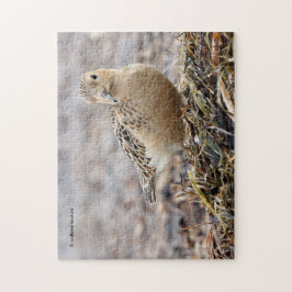 Mooie Blonde Ruiter op het Strand Legpuzzel