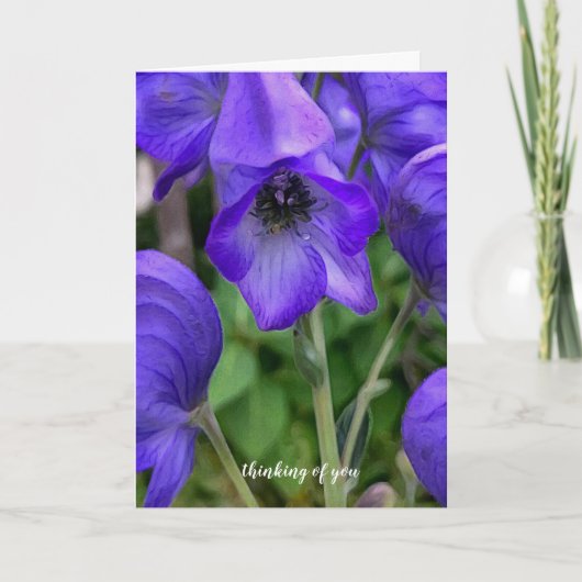 Mooie Blue Delphiniums Sympathiekaart Kaart (Voorkant)