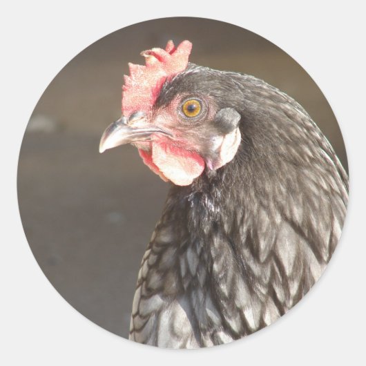 Mooie Blue Hen Classic ronde Sticker (Voorkant)