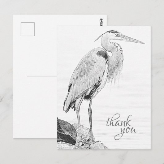 Mooie Blue Heron Water Bird Schets Dank u Briefkaart (Voorkant / Achterkant)