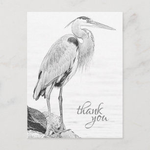 Mooie Blue Heron Water Bird Schets Dank u Briefkaart
