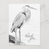 Mooie Blue Heron Water Bird Schets Dank u Briefkaart (Voorkant)