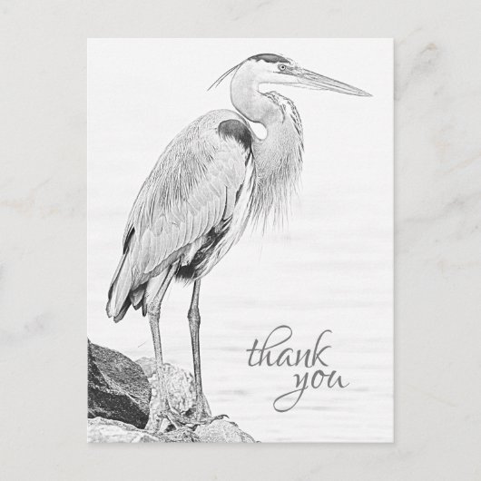 Mooie Blue Heron Water Bird Schets Dank u Briefkaart (Voorkant)