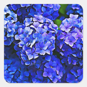 Mooie Blue Hydrangea Flowers Stickers