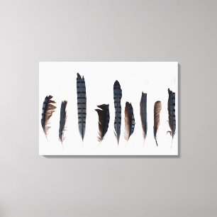 Mooie Blue Jay Feathers Canvas Afdruk